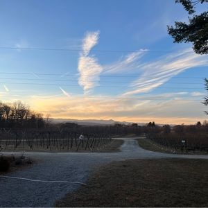 Vionic Lena Spot Flats Black White Women's 8.5 Pointed Toe Animal Print 40